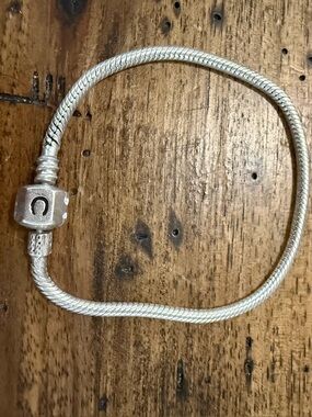 Chamilia Silver Snake Chain Bracelet